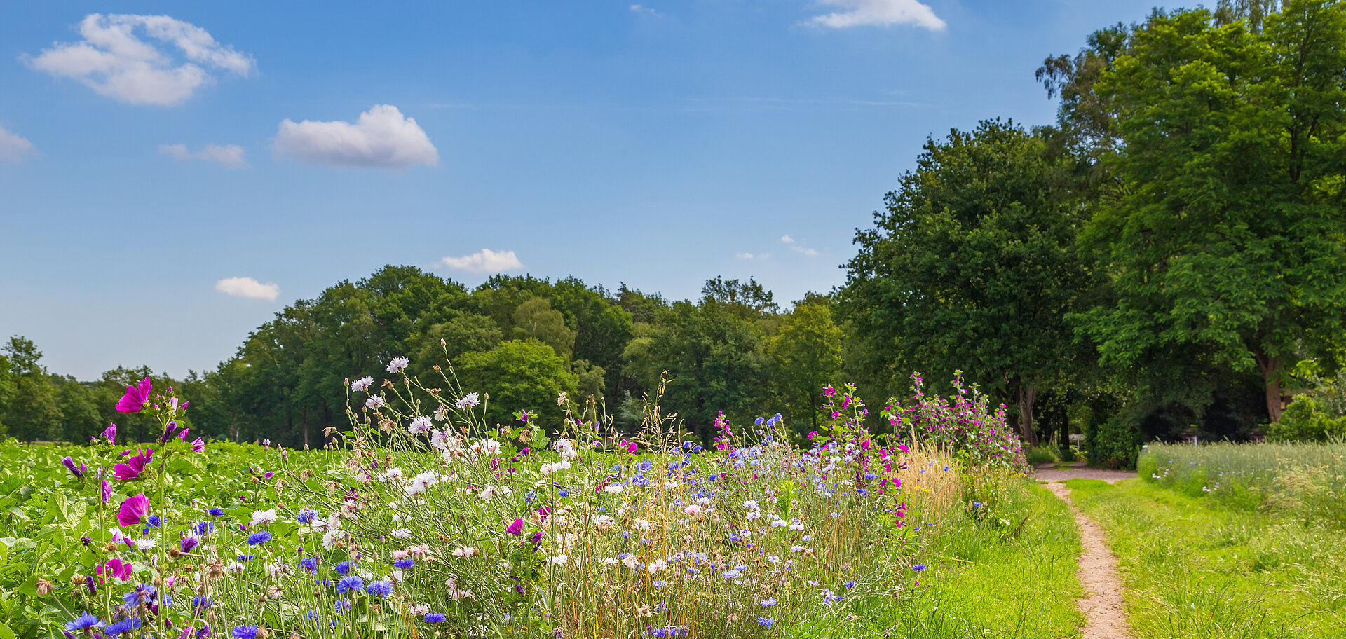 Mit Datenströmen zum ersten Kärntner Biodiversitätspreis: Biodiversität sichten und sichern