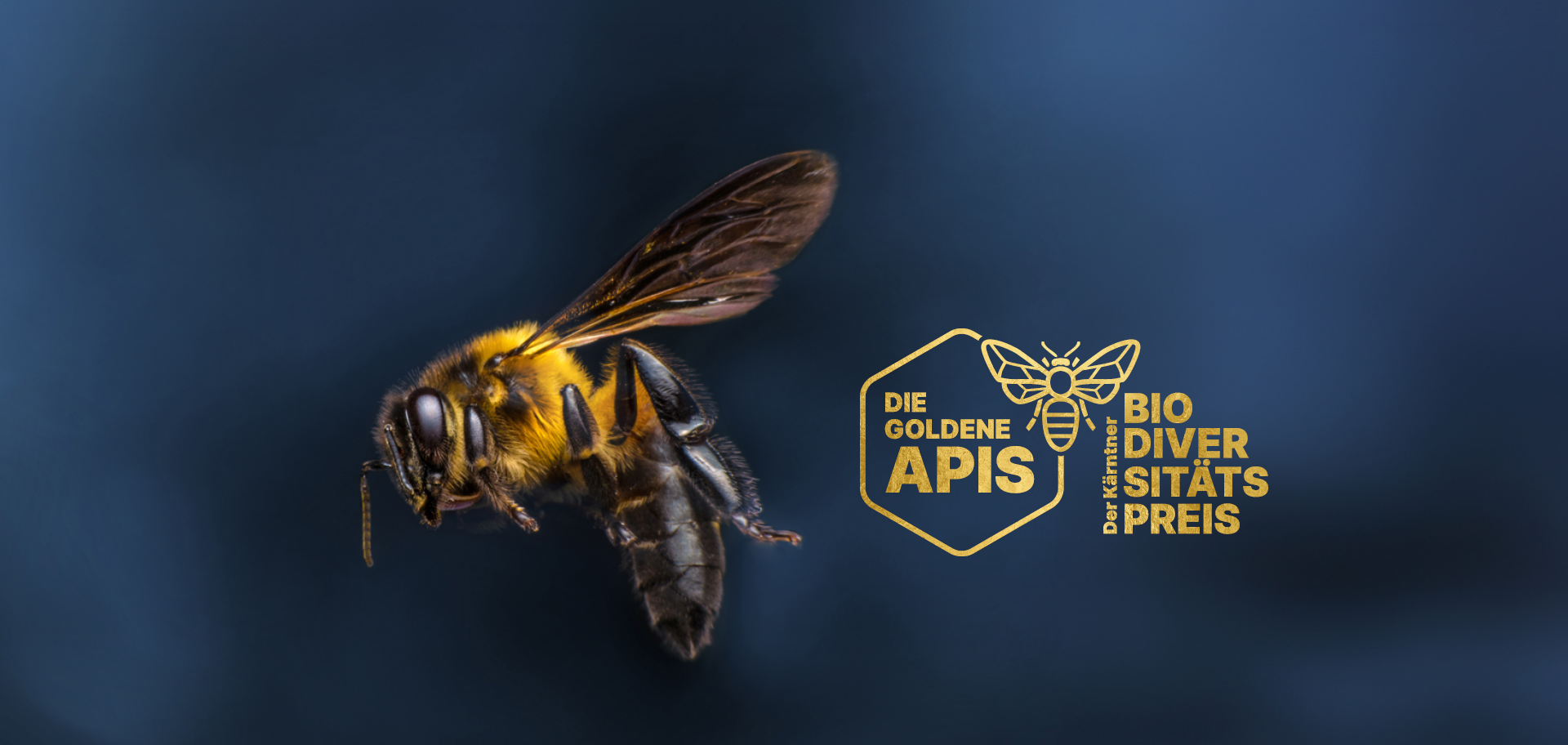 Die goldene Apis: Der erste Kärntner Biodiversitätspreis